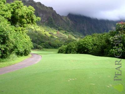 Golf 綠色的天地 Golf 綠色的天地