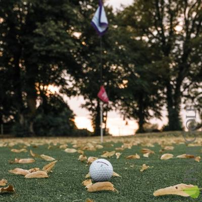 球找不到最冤了/Lost ball! 球找不到最冤了/Lost ball!