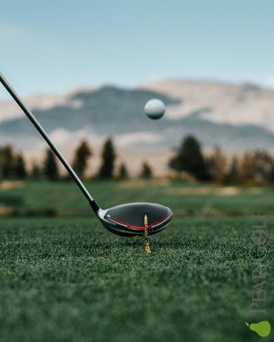 彈道高低要選什麼桿頭和桿身/How to get the right trajectory golf club？