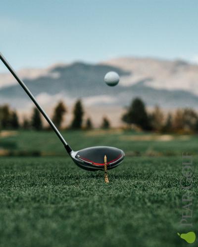 球找不到最冤了/Lost ball! 球找不到最冤了/Lost ball!