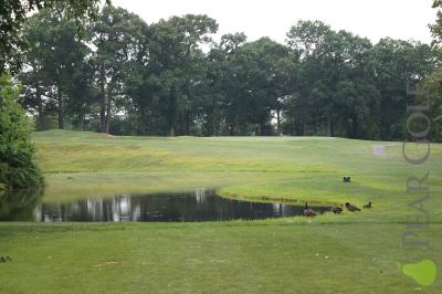 美國紐約公共球場New York Clearview Park 美國紐約公共球場New York Clearview Park