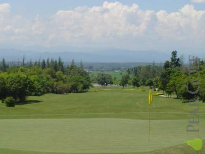 泰国 Royal Chiangmai 泰国 Royal Chiangmai