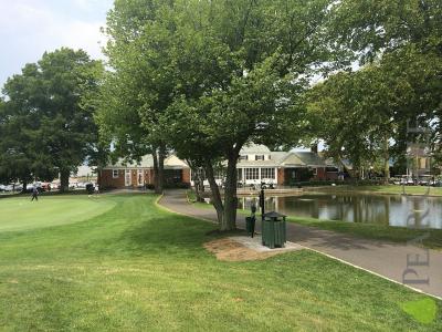 美國紐約公共球場New York Clearview Park 美國紐約公共球場New York Clearview Park