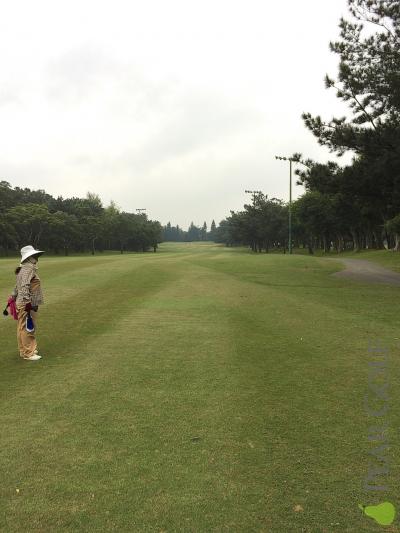 桃園高爾夫球場 桃園高爾夫球場