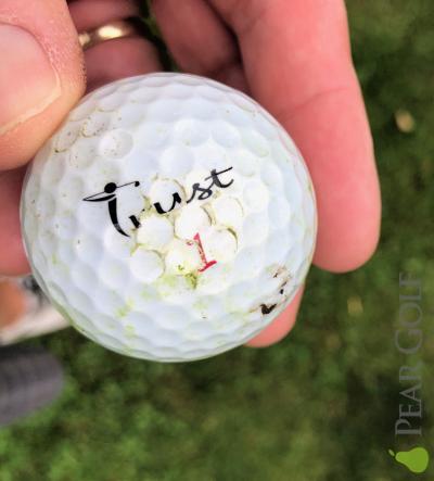 Trust Bison golf ball review/Trust Brison 高爾夫球測試！