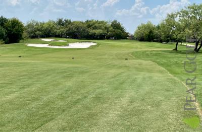 德州打球雜談/Golfing in Texas！