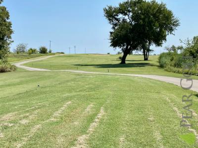 The Bridges Golf course!