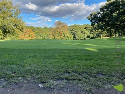 Forest Park Golf course/森林公園球場!