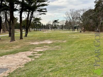 紐約長島Brentwood golf course!! 紐約長島Brentwood golf course!!
